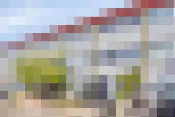 Dongelaan 8 Veghel thumbnail 8