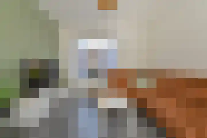 Dongelte 11 Rolde thumbnail 14