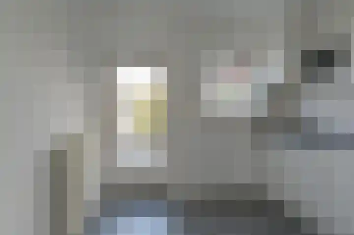 Dongelte 11 Rolde thumbnail 18