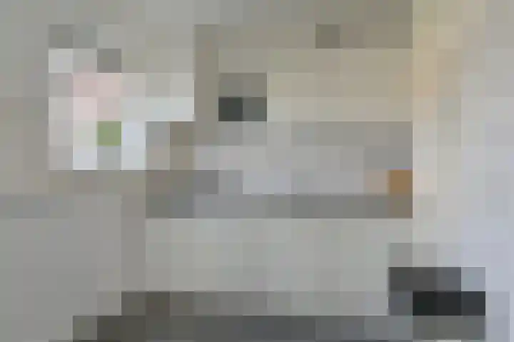 Dongelte 11 Rolde thumbnail 19