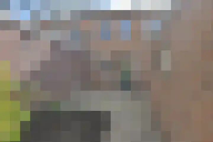Dongelte 11 Rolde thumbnail 40