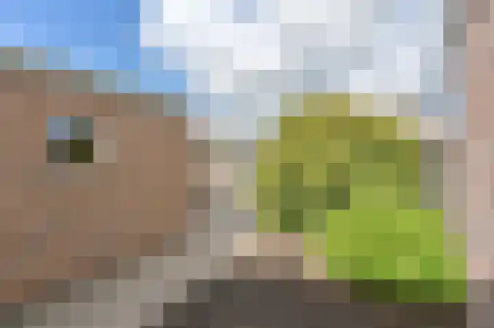 Dongelte 11 Rolde thumbnail 44