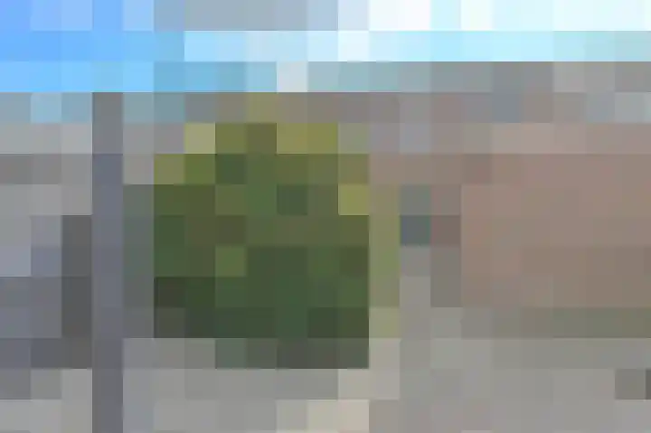 Dongelte 11 Rolde thumbnail 45