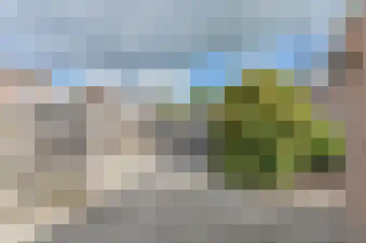 Dongelte 11 Rolde thumbnail 46