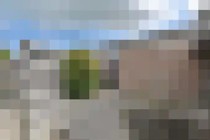 Dongelte 11 Rolde thumbnail 47