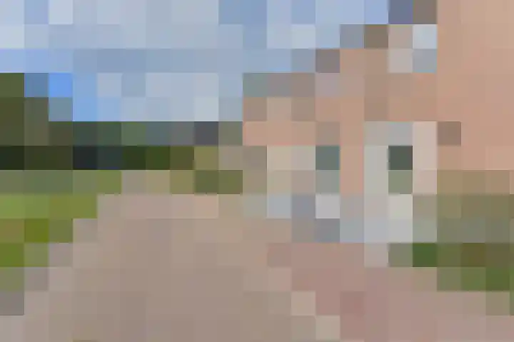 Dongelte 11 Rolde thumbnail 6
