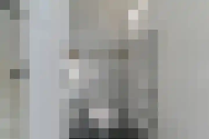 Dongelte 11 Rolde thumbnail 9