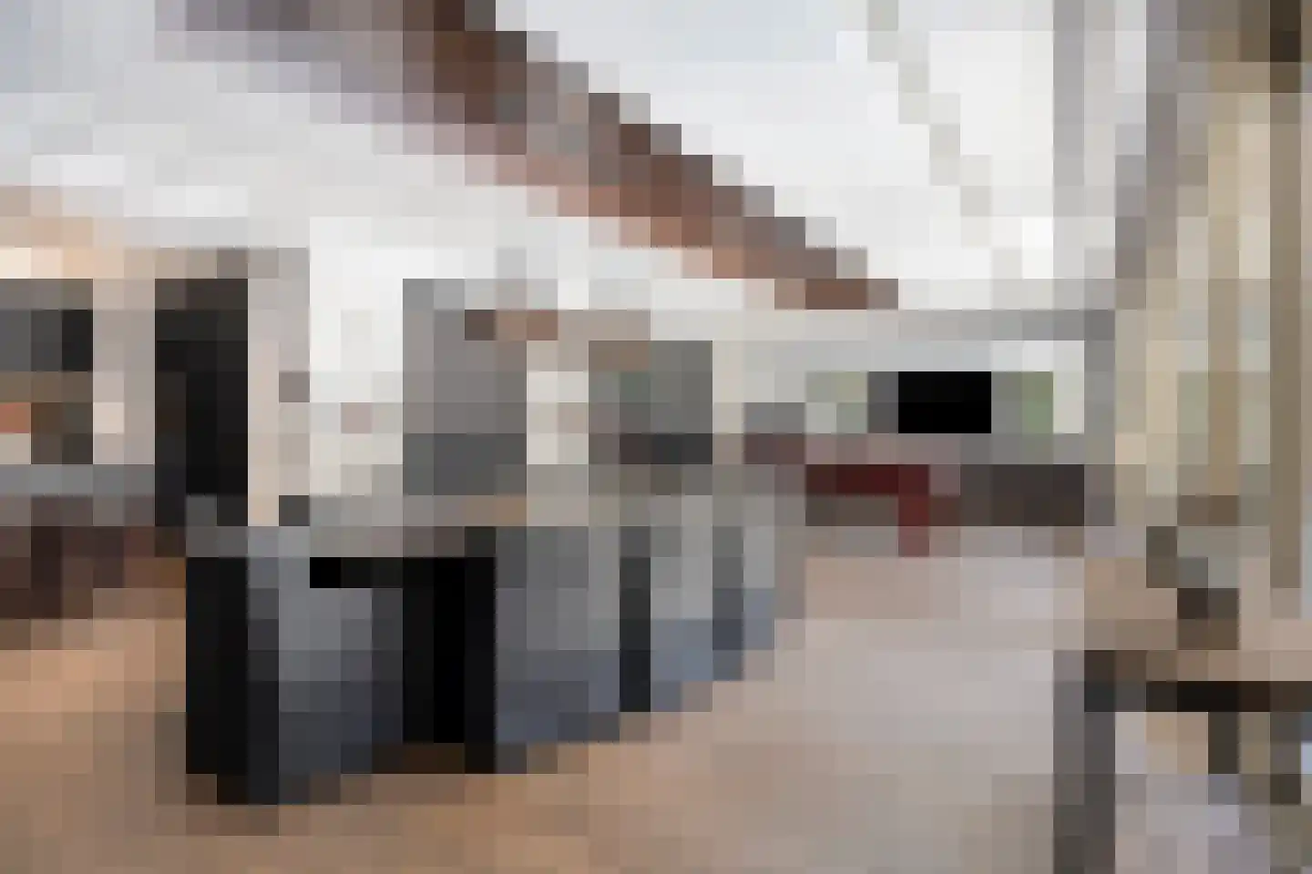 Dongenseweg 126 a Tilburg thumbnail 32