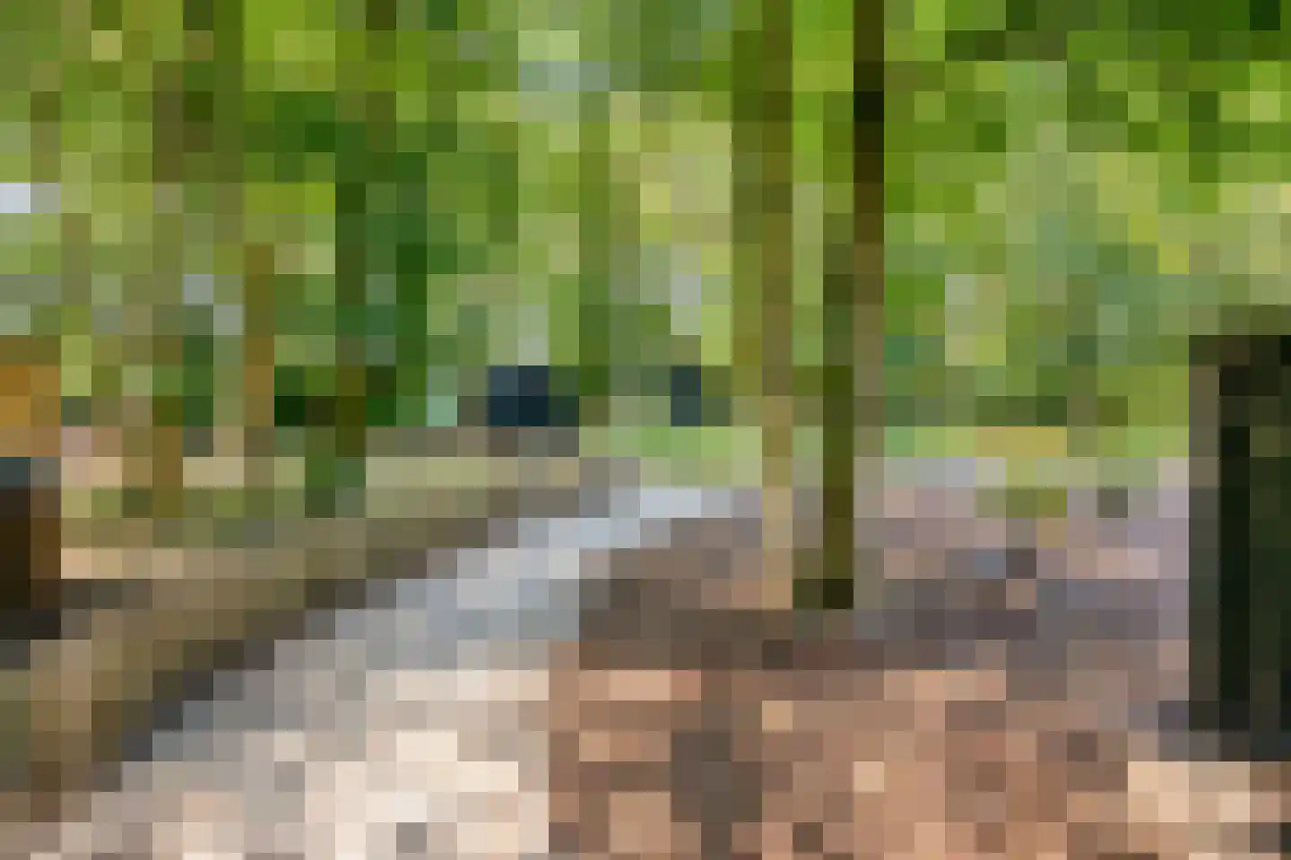 Dongenseweg 126 a Tilburg thumbnail 4