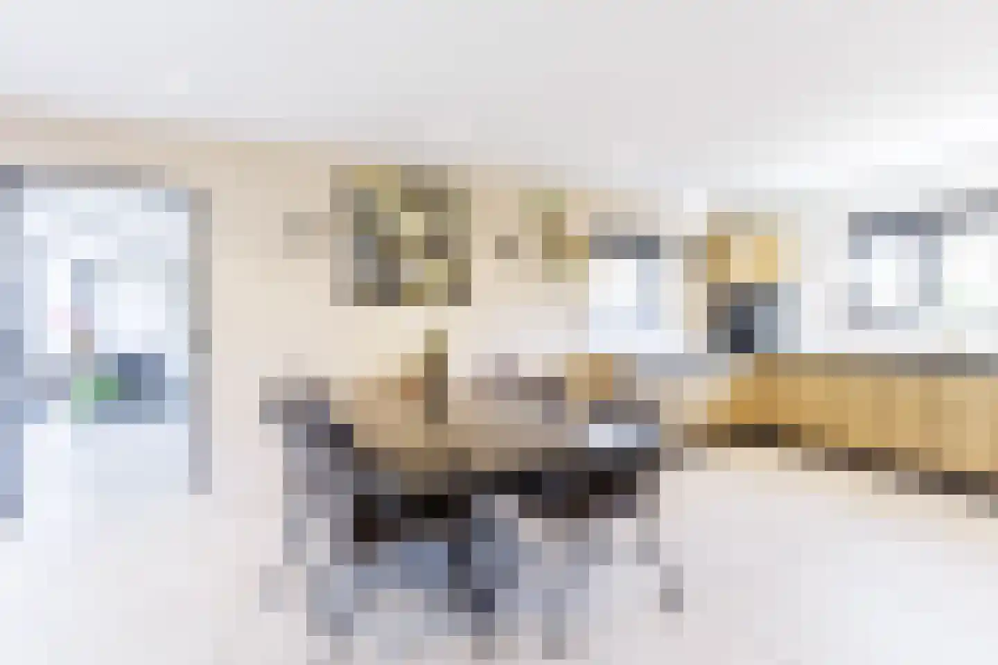 Dongenseweg 126 Tilburg thumbnail 12