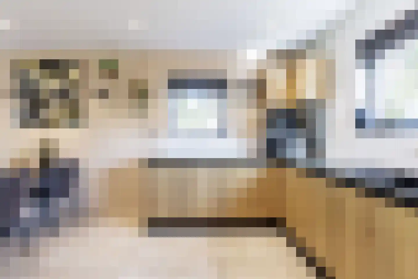 Dongenseweg 126 Tilburg thumbnail 14
