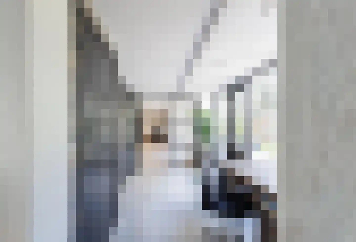 Dongenseweg 126 Tilburg thumbnail 18
