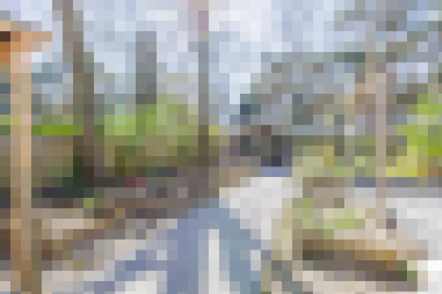 Dongenseweg 126 Tilburg thumbnail 41