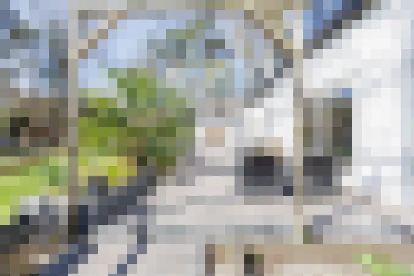 Dongenseweg 126 Tilburg thumbnail 42
