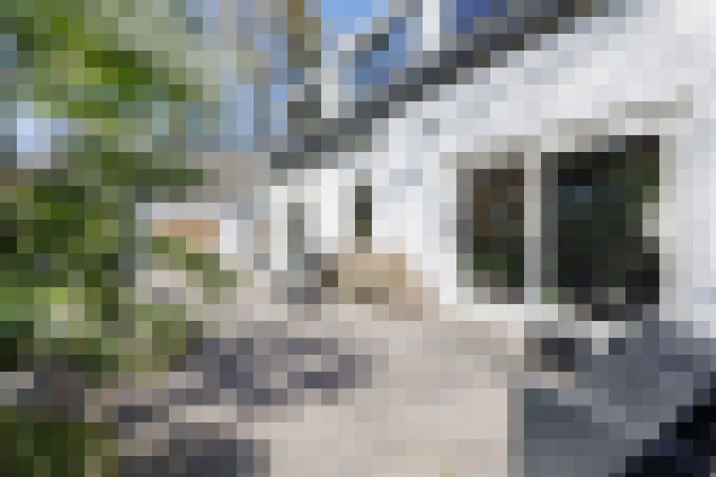 Dongenseweg 126 Tilburg thumbnail 43