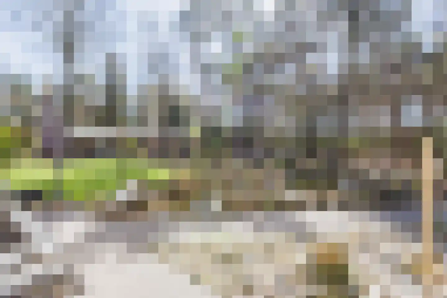 Dongenseweg 126 Tilburg thumbnail 44