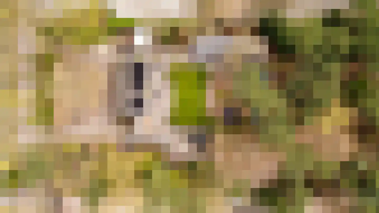 Dongenseweg 126 Tilburg thumbnail 45