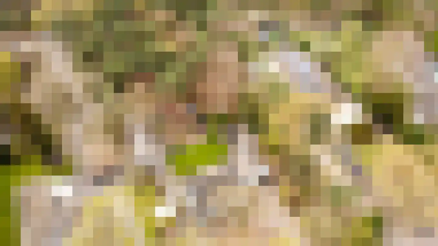 Dongenseweg 126 Tilburg thumbnail 46