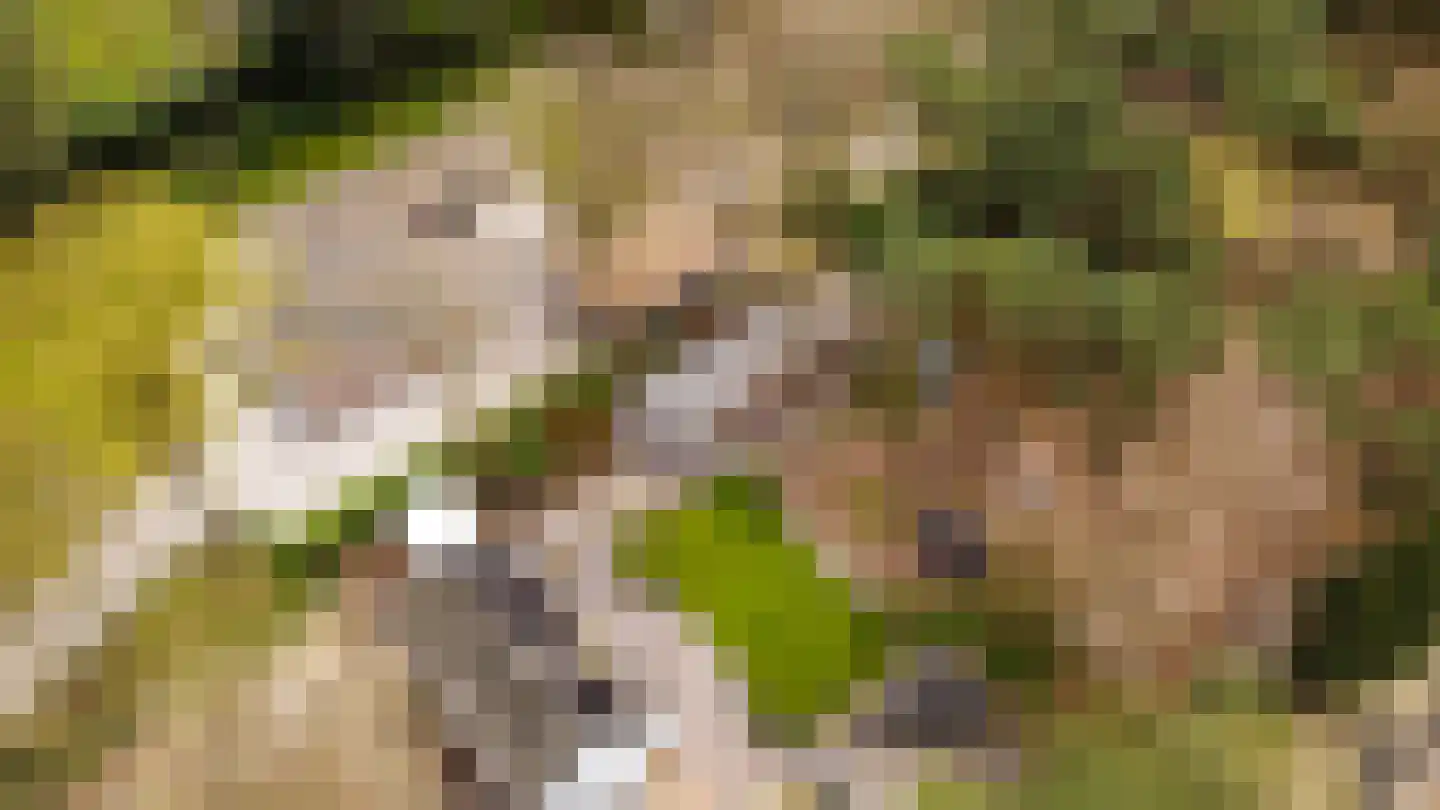Dongenseweg 126 Tilburg thumbnail 48
