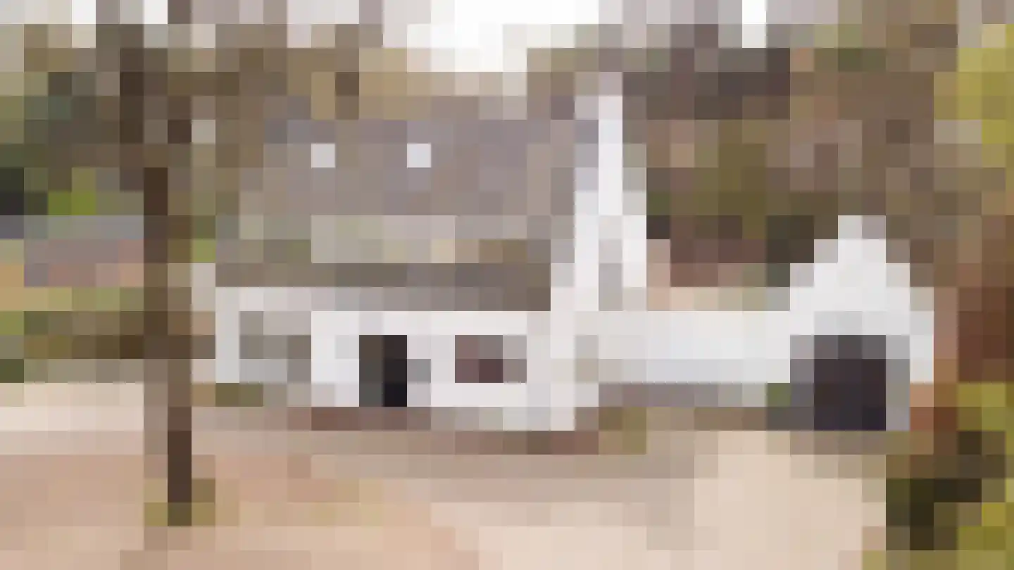 Dongenseweg 126 Tilburg thumbnail 7