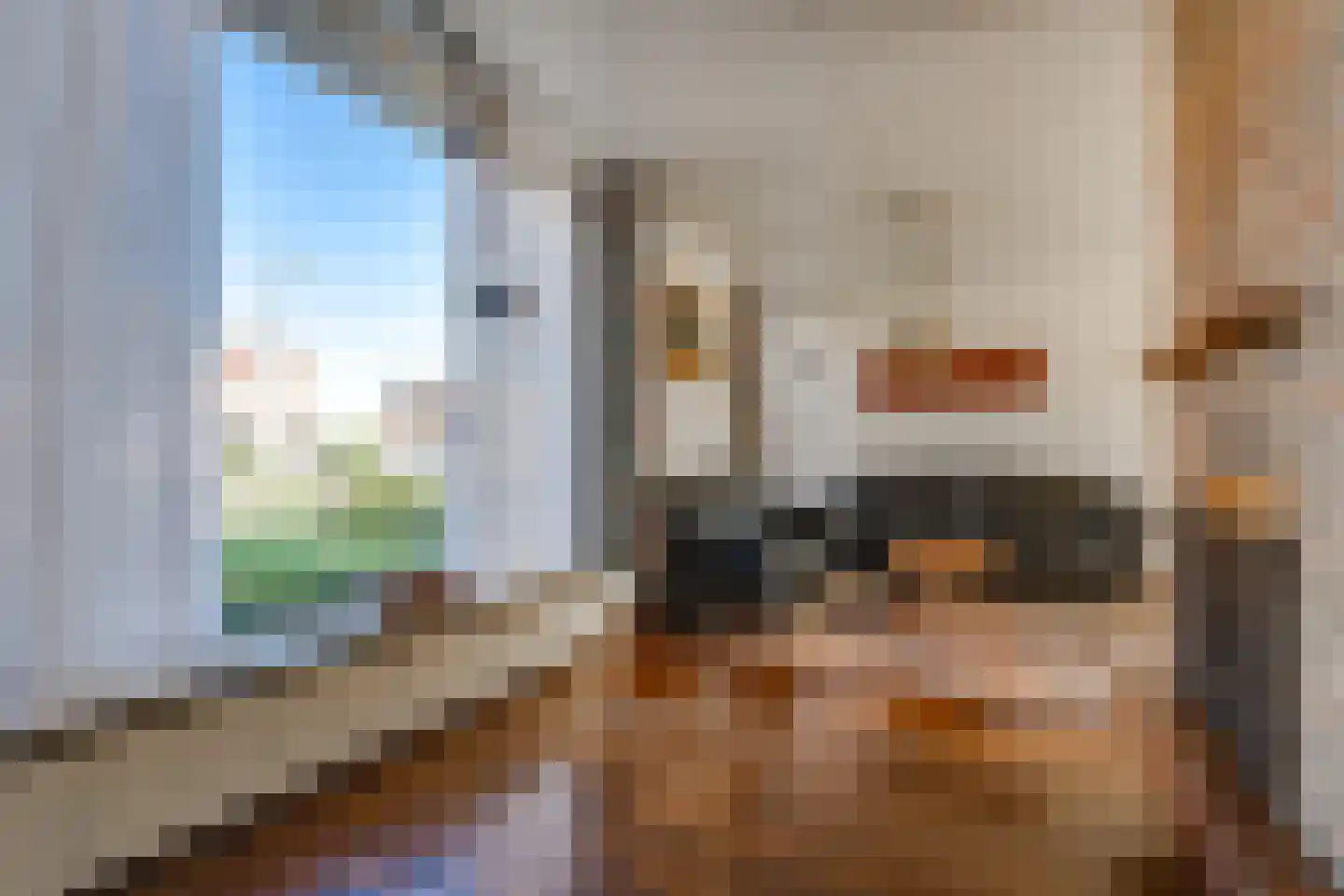 Dongenseweg 14 A Rijen thumbnail 12