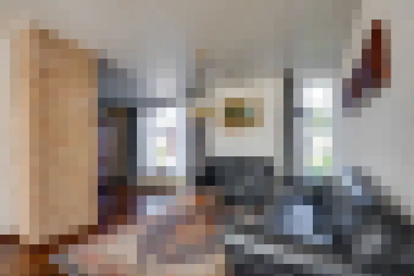 Dongenseweg 14 A Rijen thumbnail 13