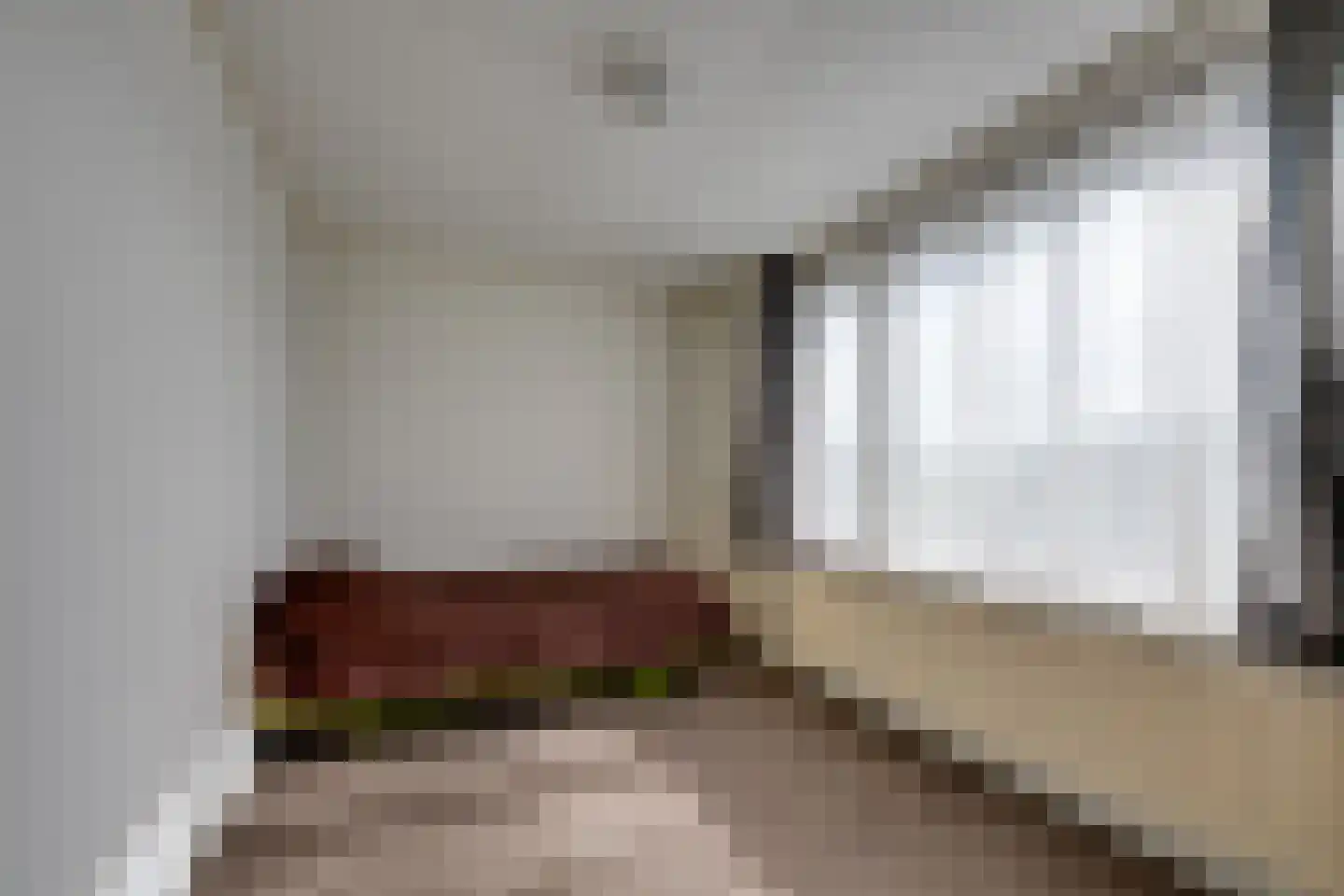 Dongenseweg 14 A Rijen thumbnail 25