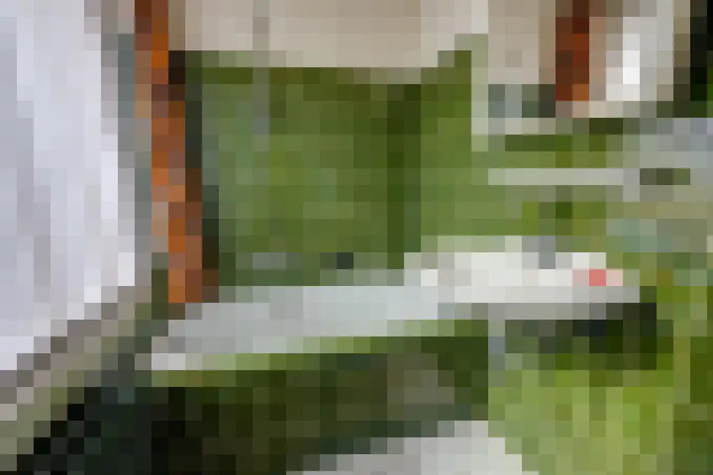 Dongenseweg 14 A Rijen thumbnail 29