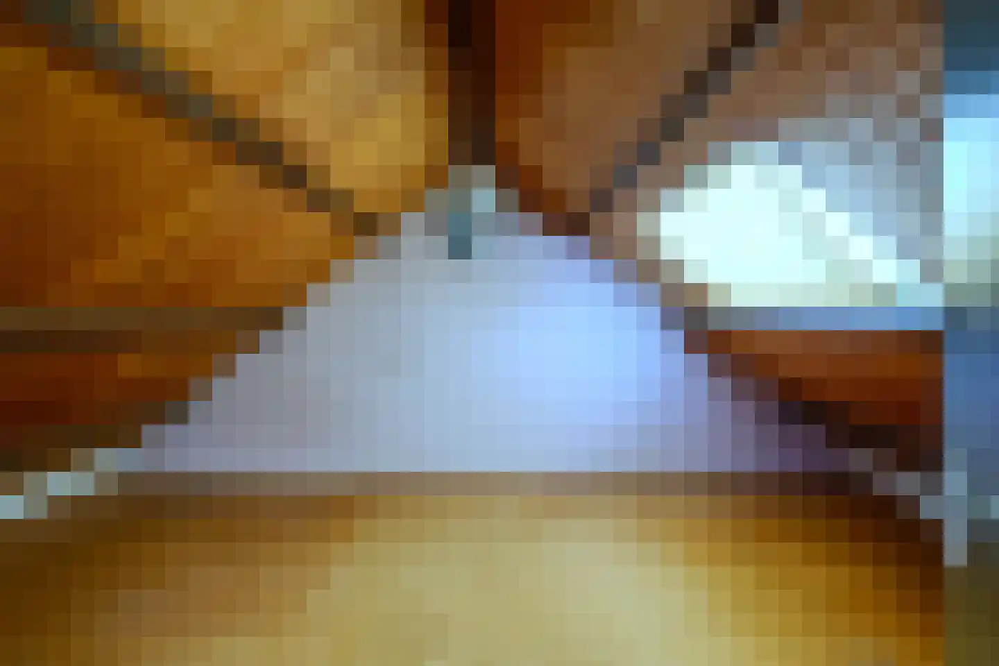 Dongenseweg 14 A Rijen thumbnail 33