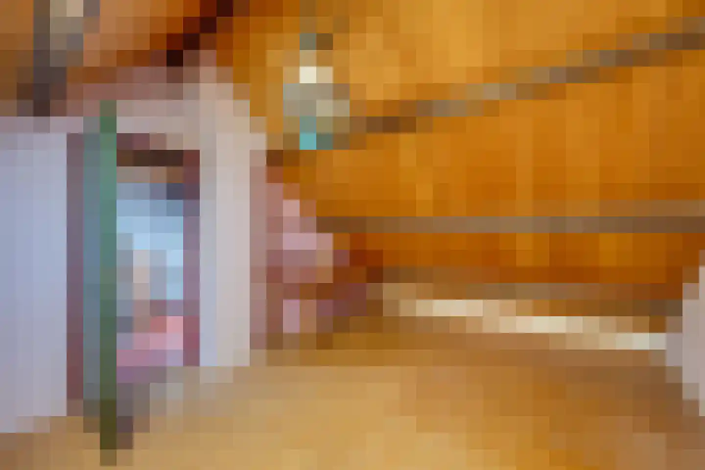 Dongenseweg 14 A Rijen thumbnail 36