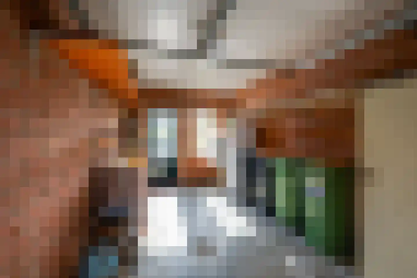 Dongenseweg 14 A Rijen thumbnail 43