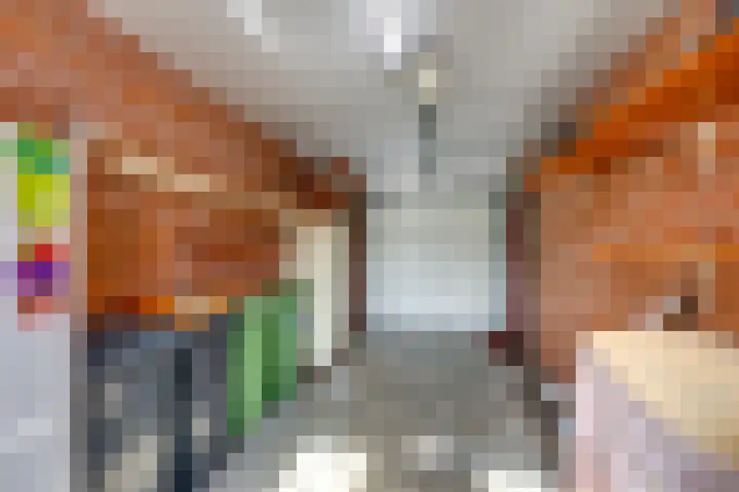 Dongenseweg 14 A Rijen thumbnail 44