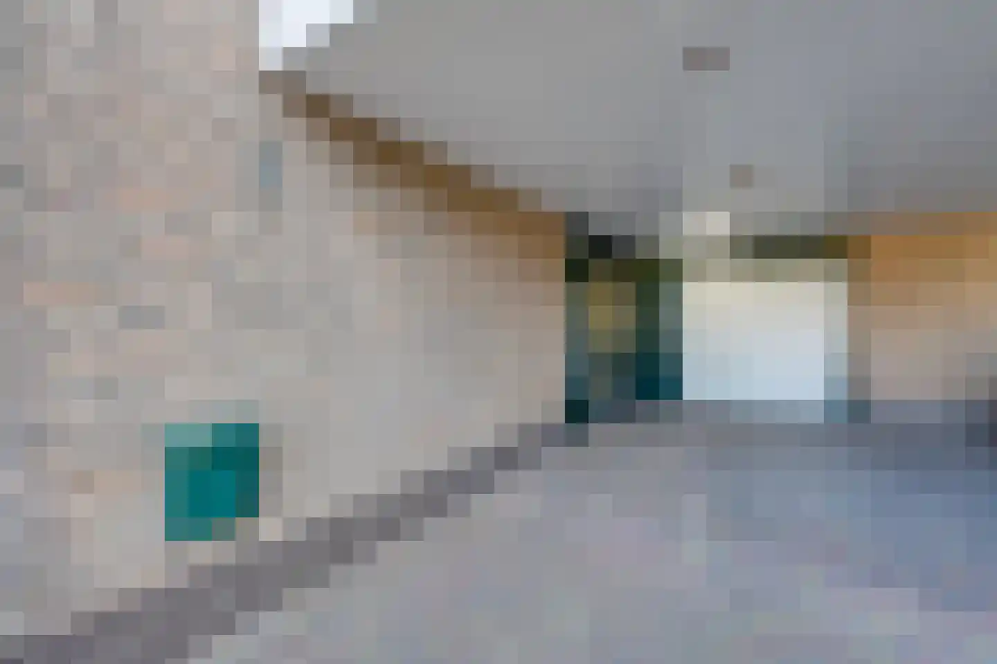 Dongenseweg 14 A Rijen thumbnail 45