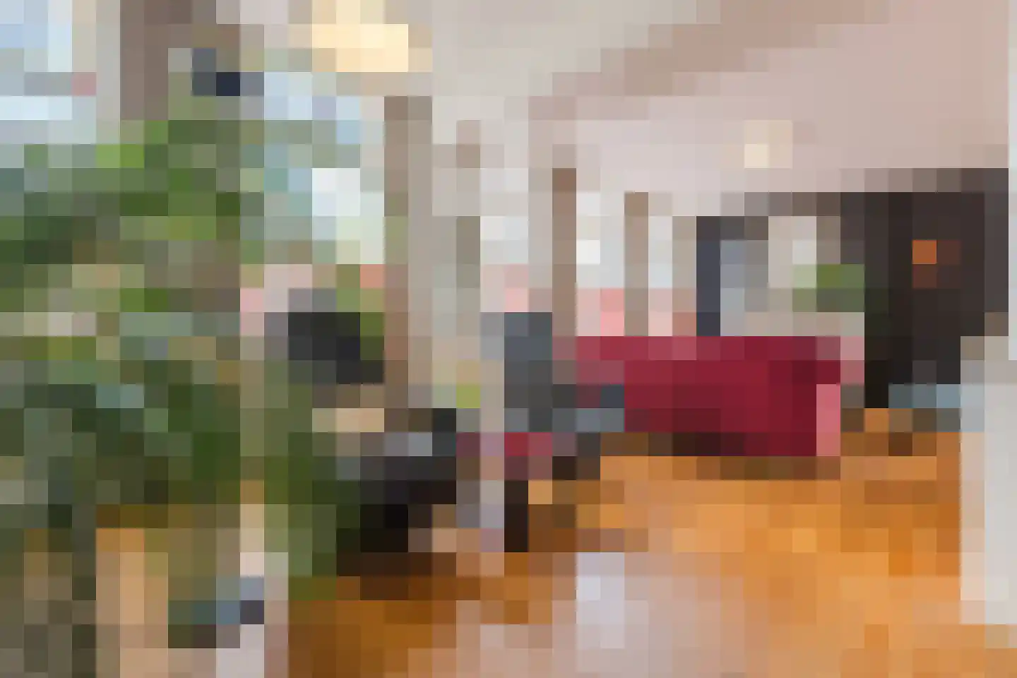 Dongenseweg 15 Rijen thumbnail 12