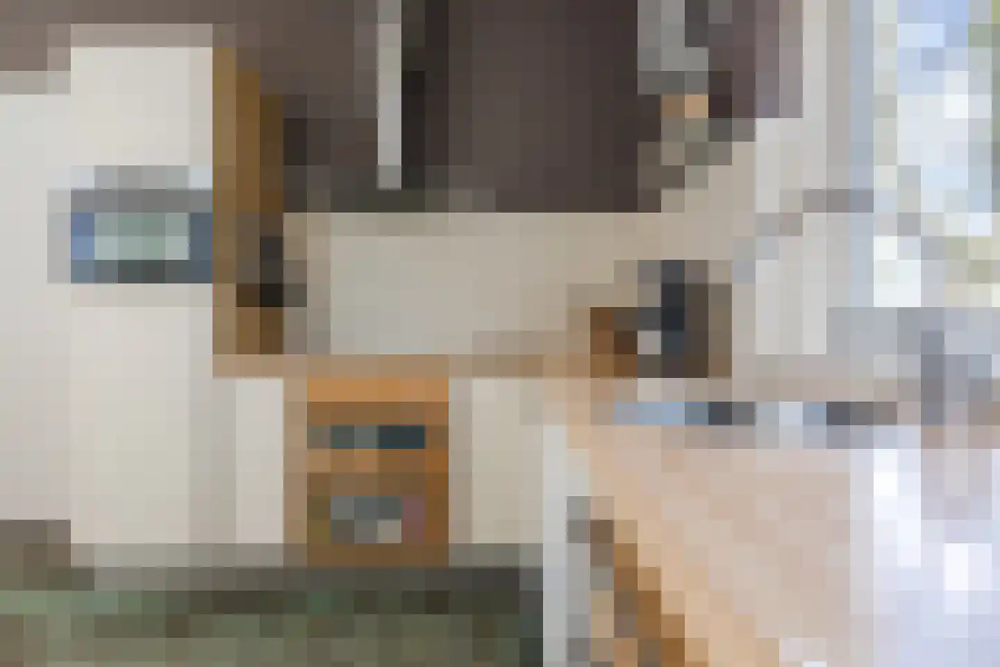 Dongenseweg 15 Rijen thumbnail 23