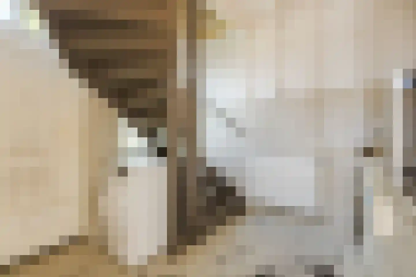Dongenseweg 15 Rijen thumbnail 25