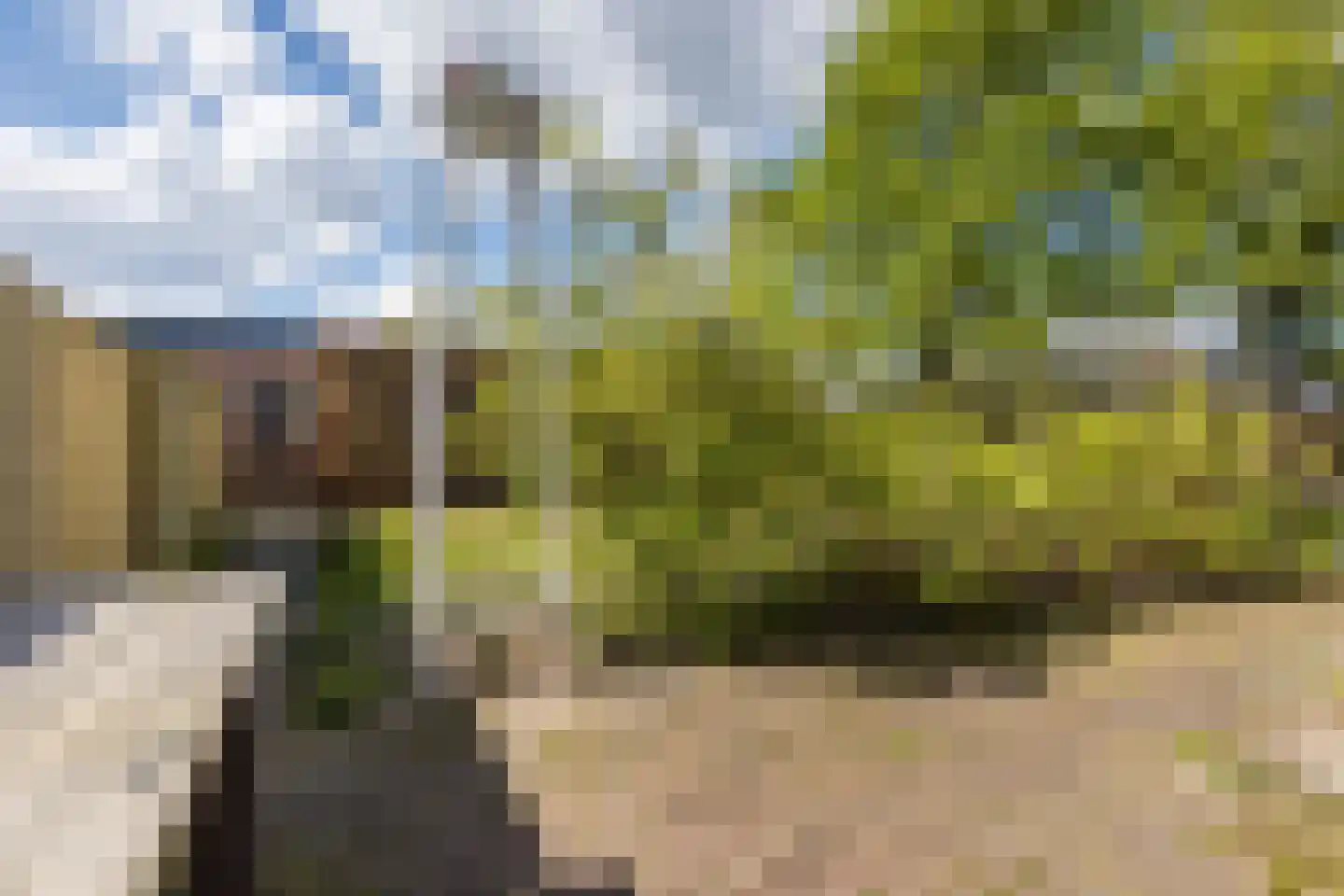 Dongenseweg 15 Rijen thumbnail 30