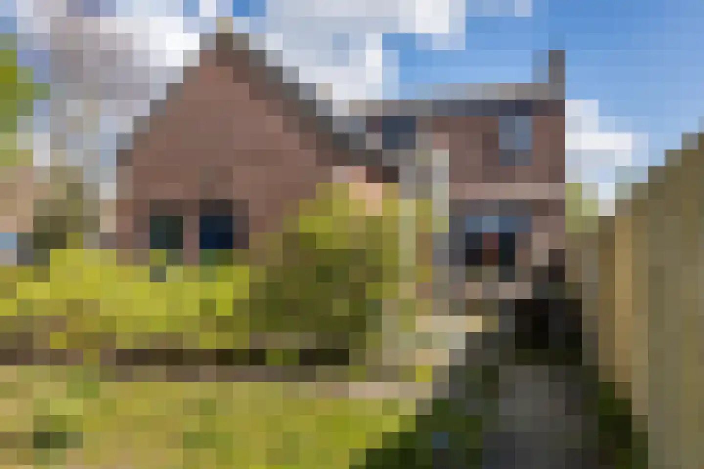 Dongenseweg 15 Rijen thumbnail 32