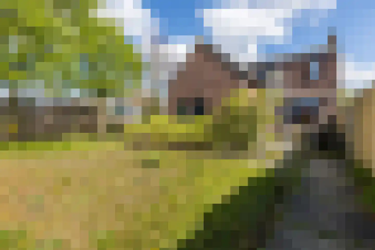 Dongenseweg 15 Rijen thumbnail 33
