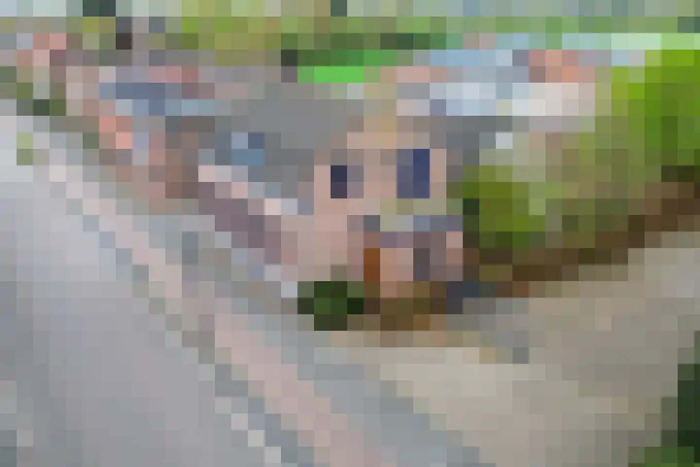 Dongenseweg 15 Rijen thumbnail 6