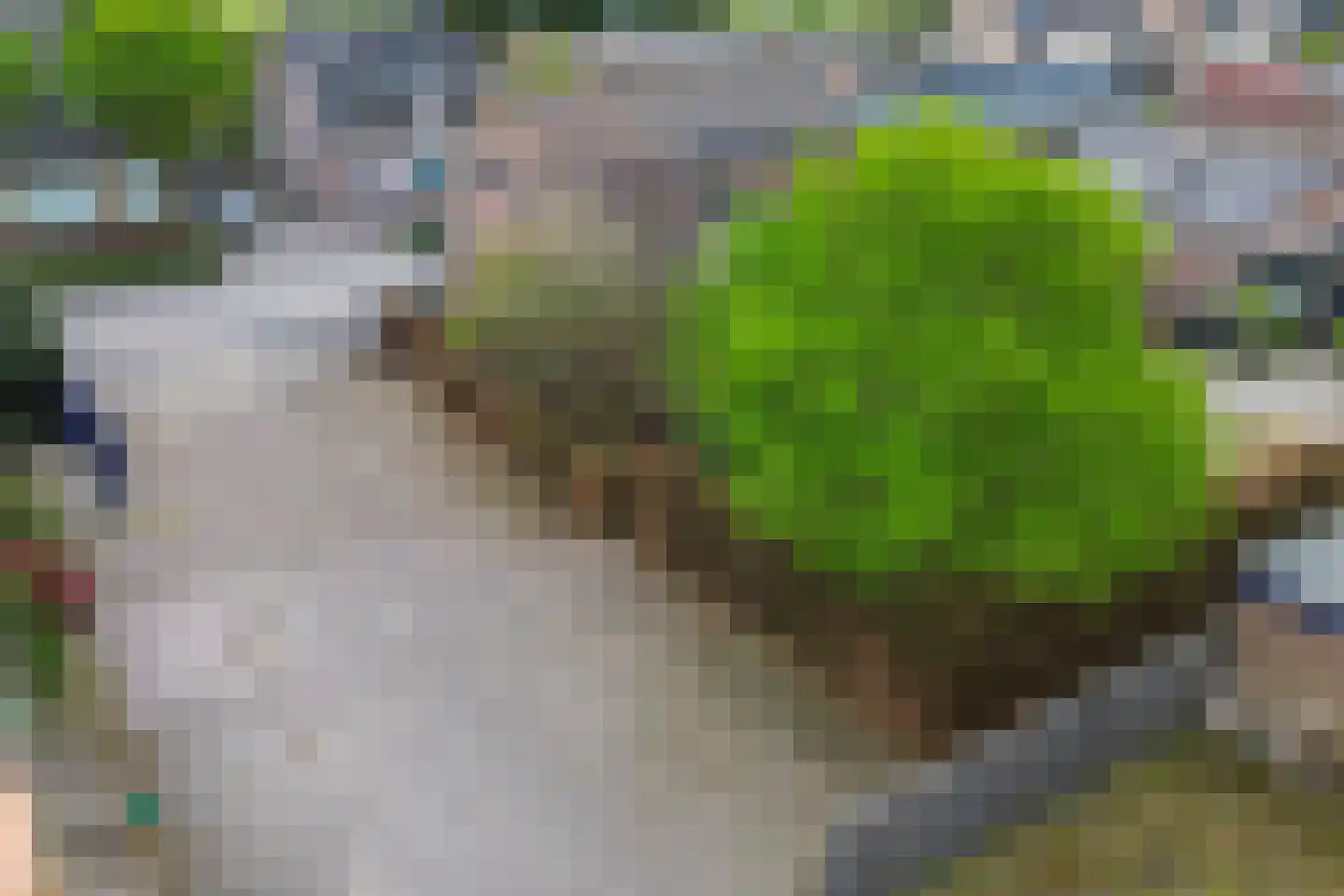 Dongenseweg 15 Rijen thumbnail 66