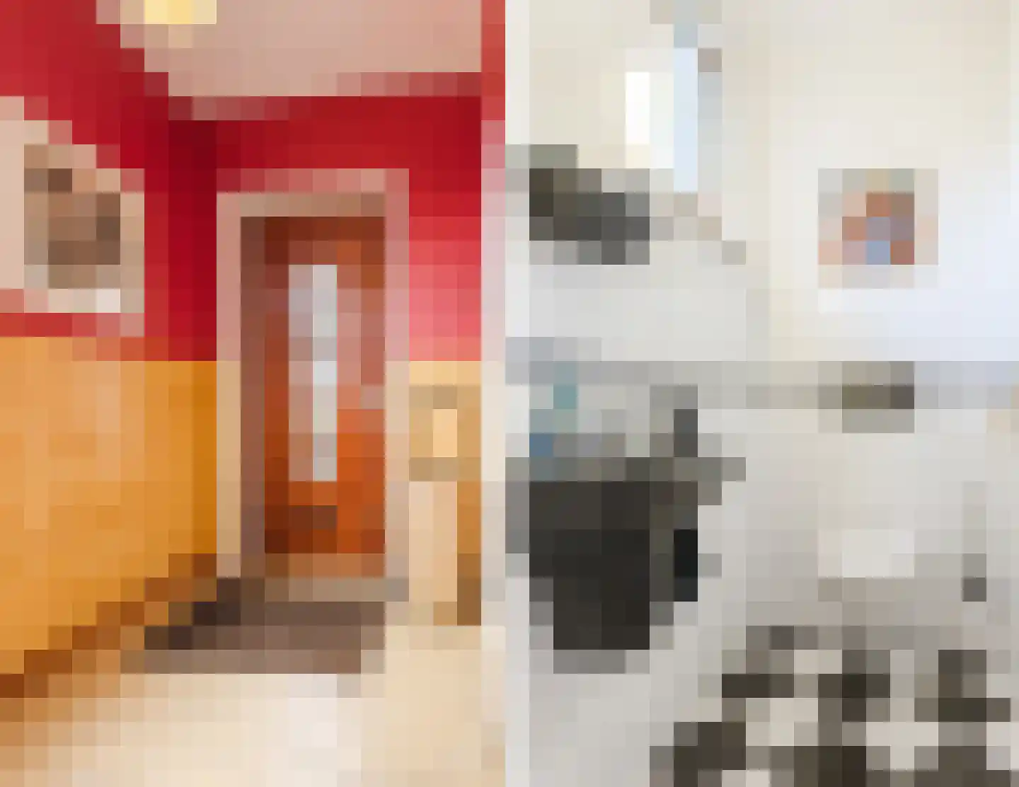Dongenseweg 15 Rijen thumbnail 8