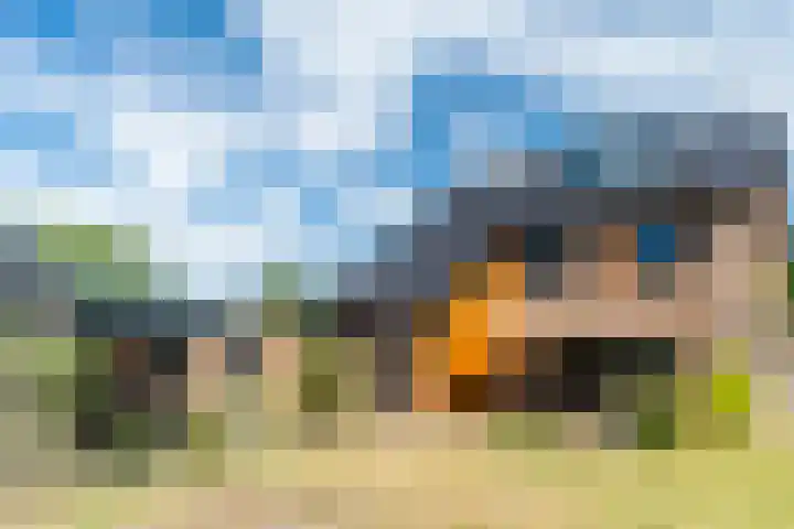 Dongenseweg 23 Rijen thumbnail 26