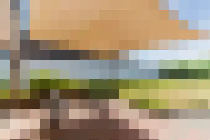 Dongenseweg 23 Rijen thumbnail 30