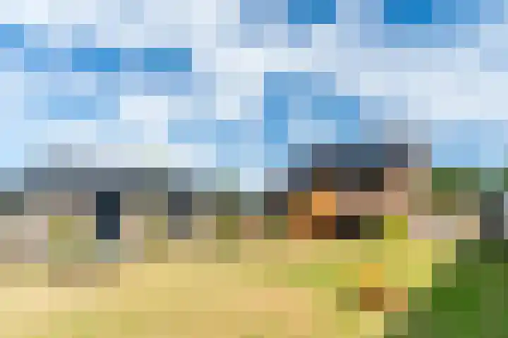 Dongenseweg 23 Rijen thumbnail 34