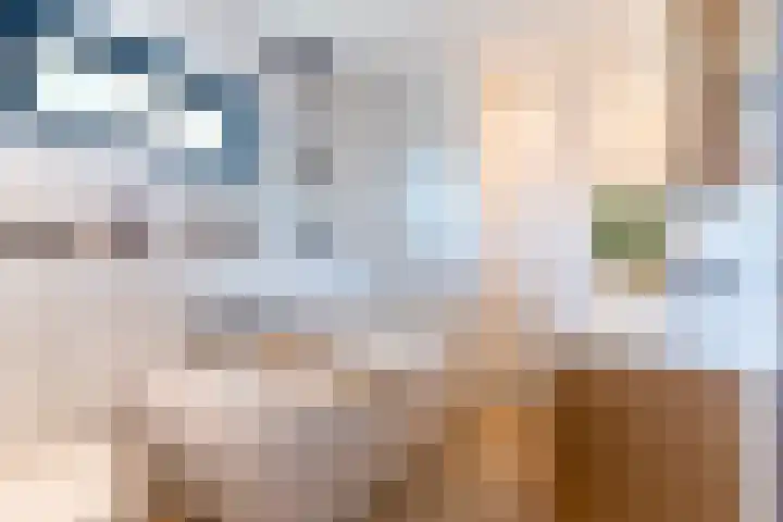 Dongenseweg 23 Rijen thumbnail 47