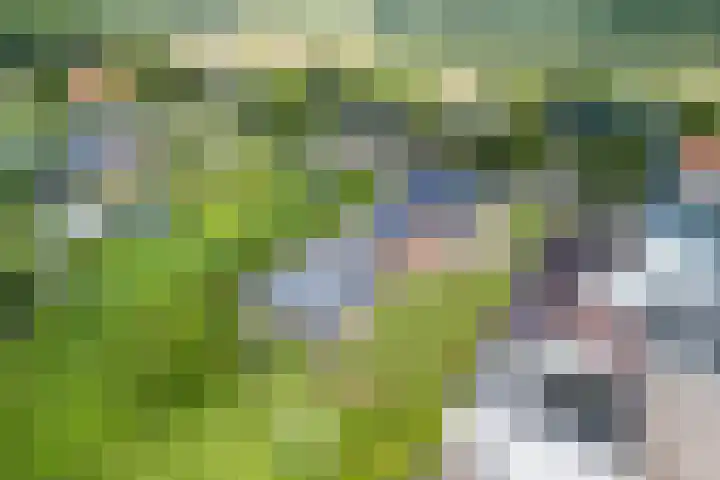 Dongenseweg 23 Rijen thumbnail 56