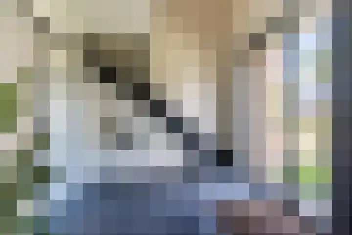 Dongenseweg 23 Rijen thumbnail 6