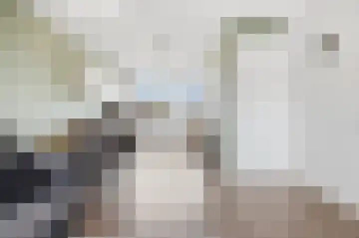 Dongepad 3 Raamsdonksveer thumbnail 10
