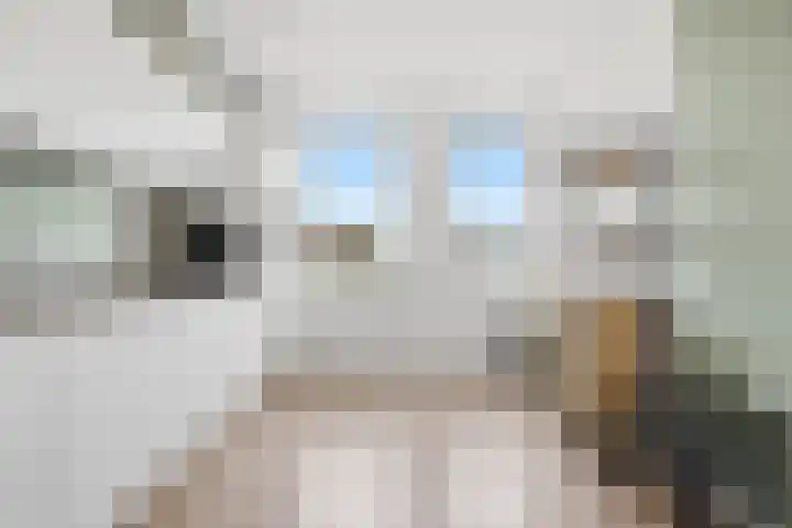 Dongepad 3 Raamsdonksveer thumbnail 12